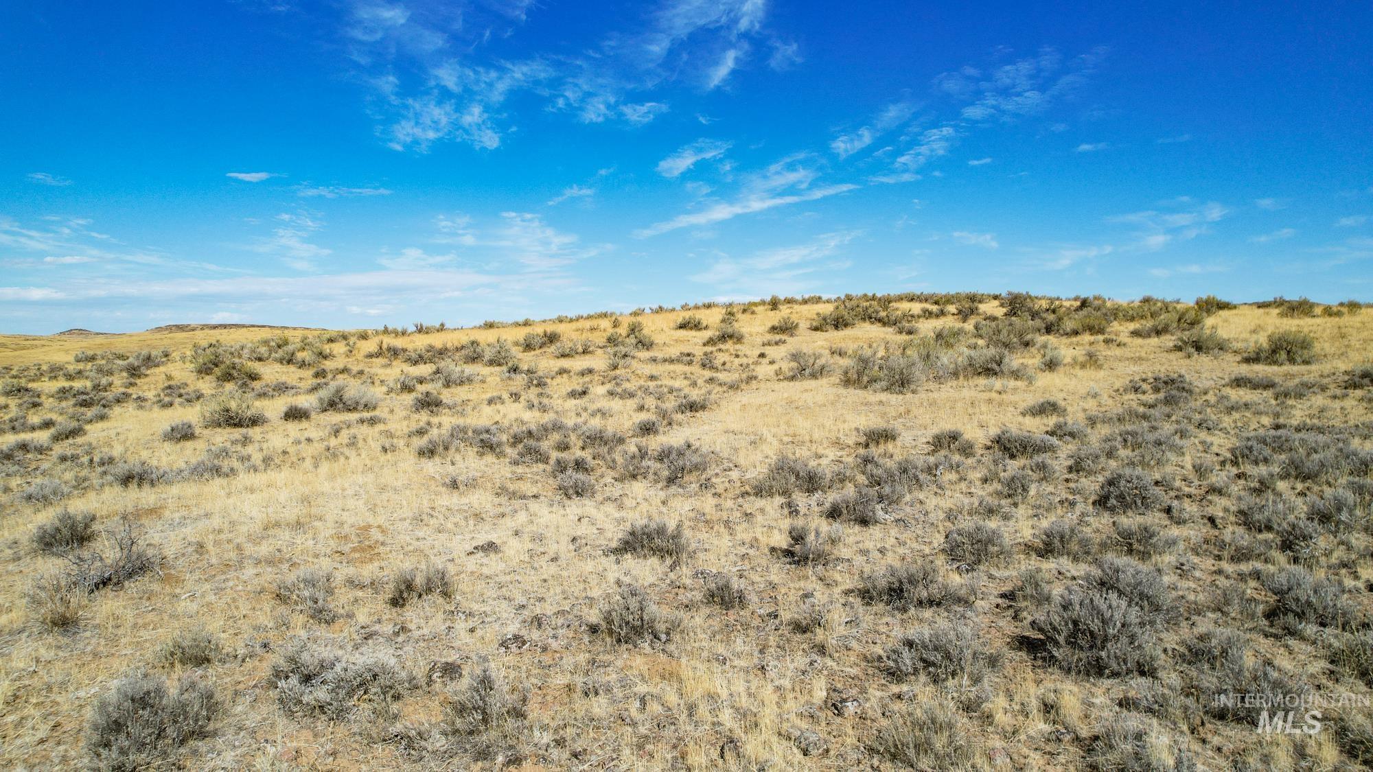 TBD S Crane Road, Weiser, Idaho 83672, Land For Sale, Price $768,000, 98925170