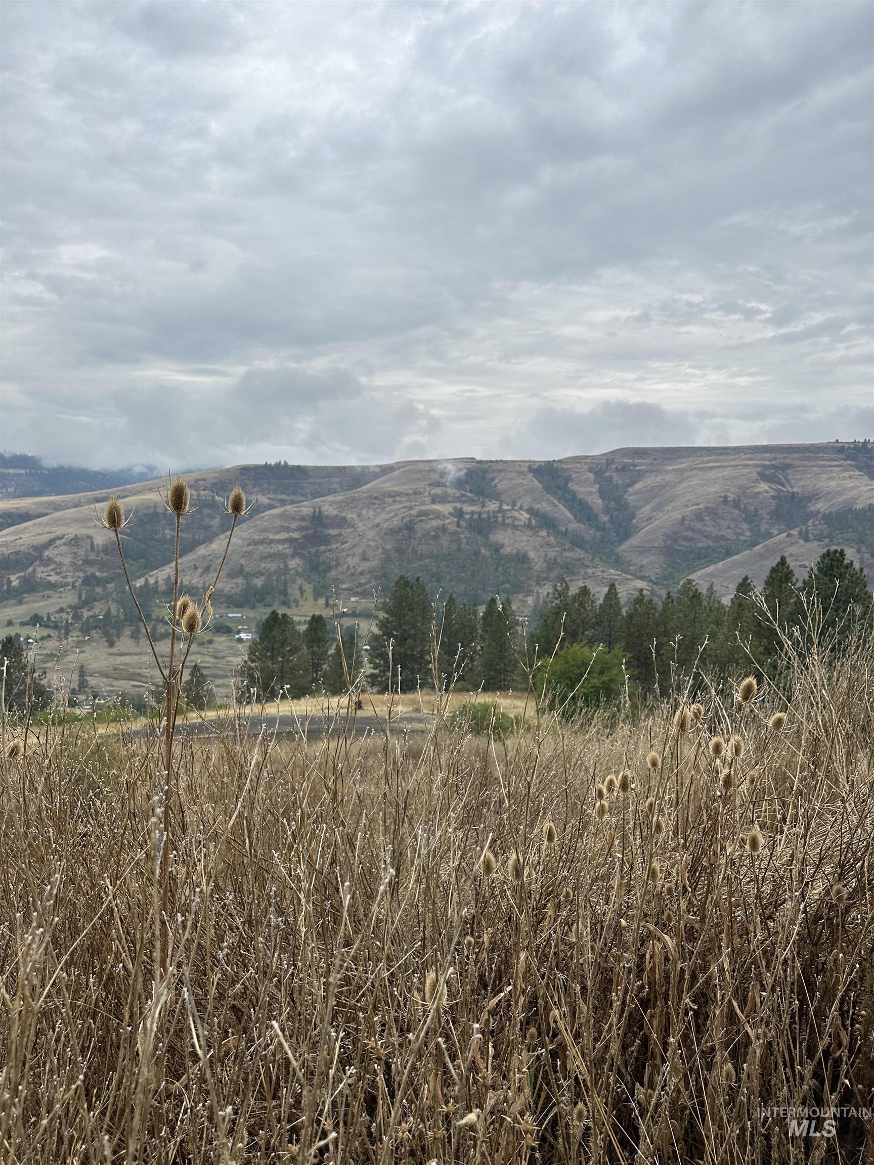 329 Battle Ridge Rd, Kooskia, Idaho 83539, 2 Bedrooms, 1.5 Bathrooms, Residential For Sale, Price $235,000, 98925175