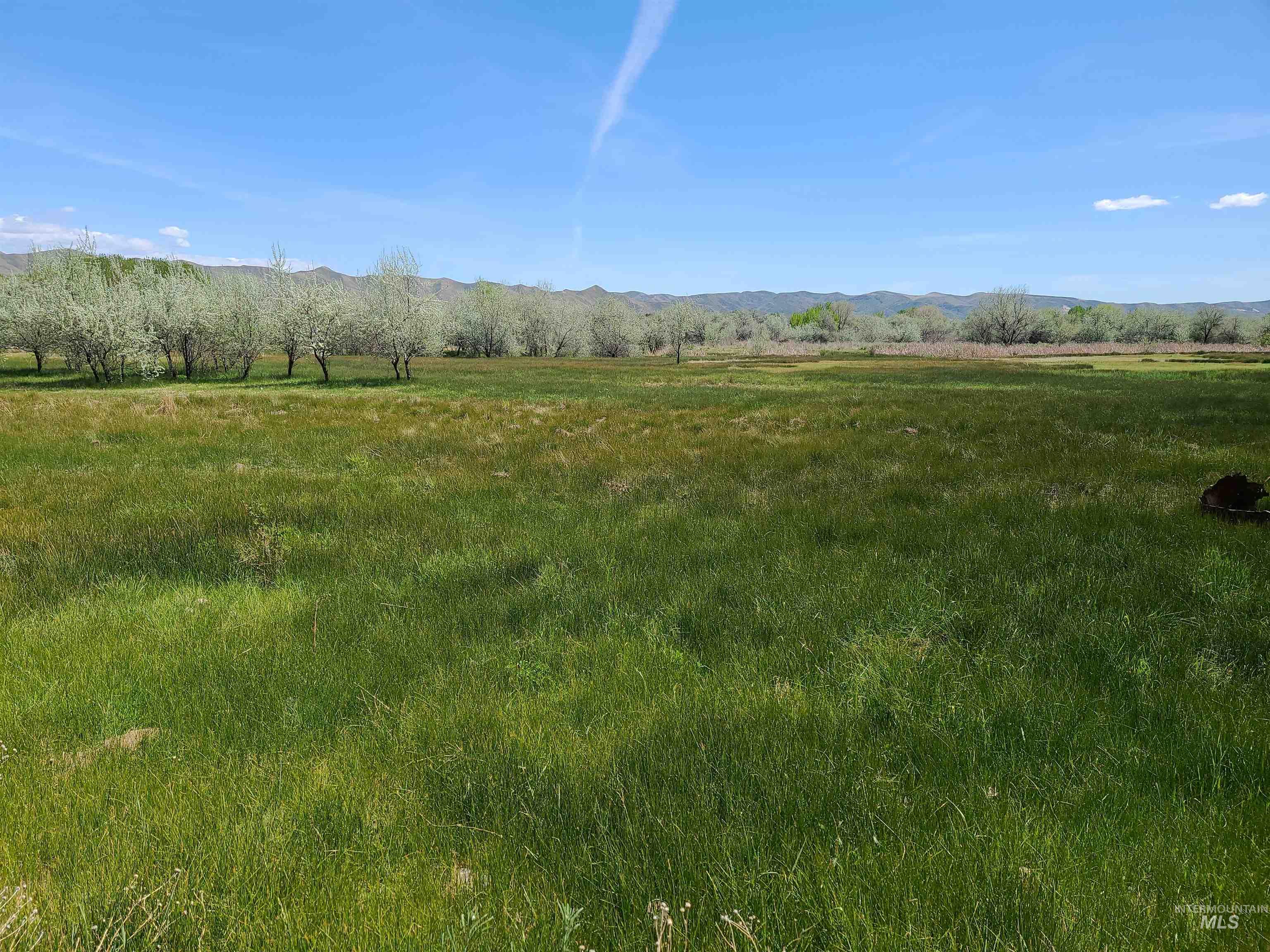 TBD E Idaho Blvd 24 acres, Emmett, Idaho 83617, Land For Sale, Price $998,000, 98925196