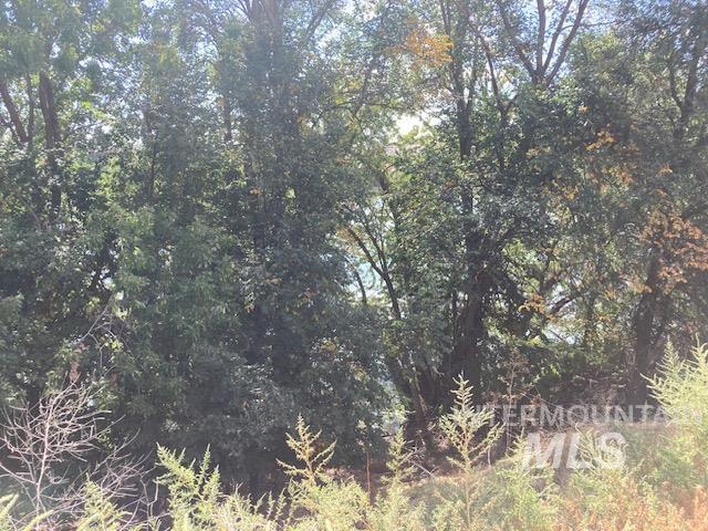 TBD Lawrence Lane, Weiser, Idaho 83672, Land For Sale, Price $135,000, 98925203