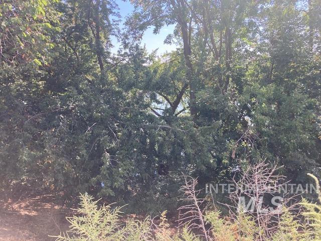TBD Lawrence Lane, Weiser, Idaho 83672, Land For Sale, Price $135,000, 98925203