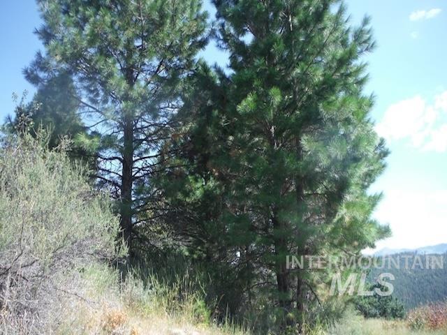 93 Sperry Lode Loop, Boise, Idaho 83716-3183, Land For Sale, Price $119,000, 98925284