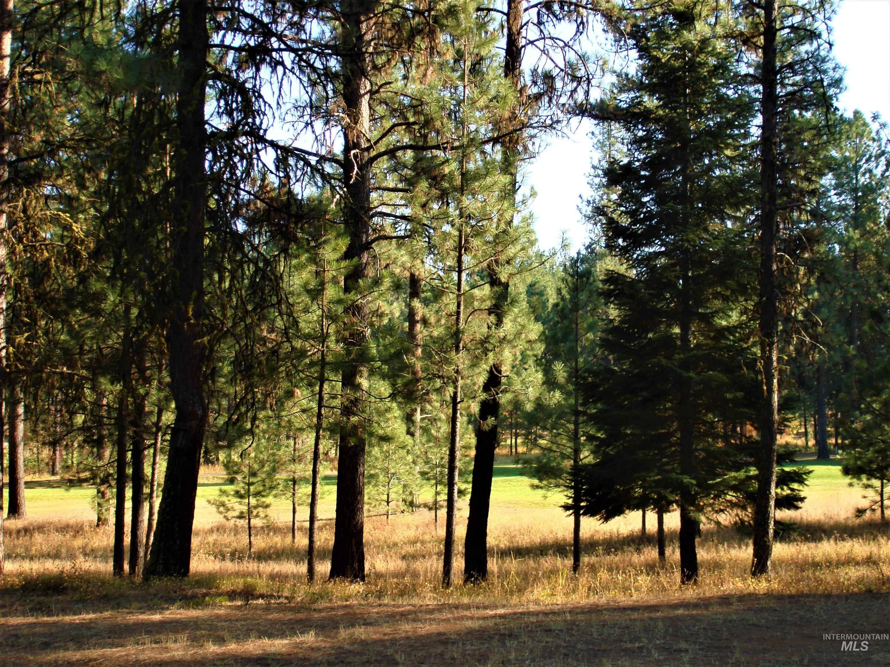 3879 Hagen Court, New Meadows, Idaho 83654, 3 Bedrooms, 3.5 Bathrooms, Residential For Sale, Price $1,299,999, 98925293