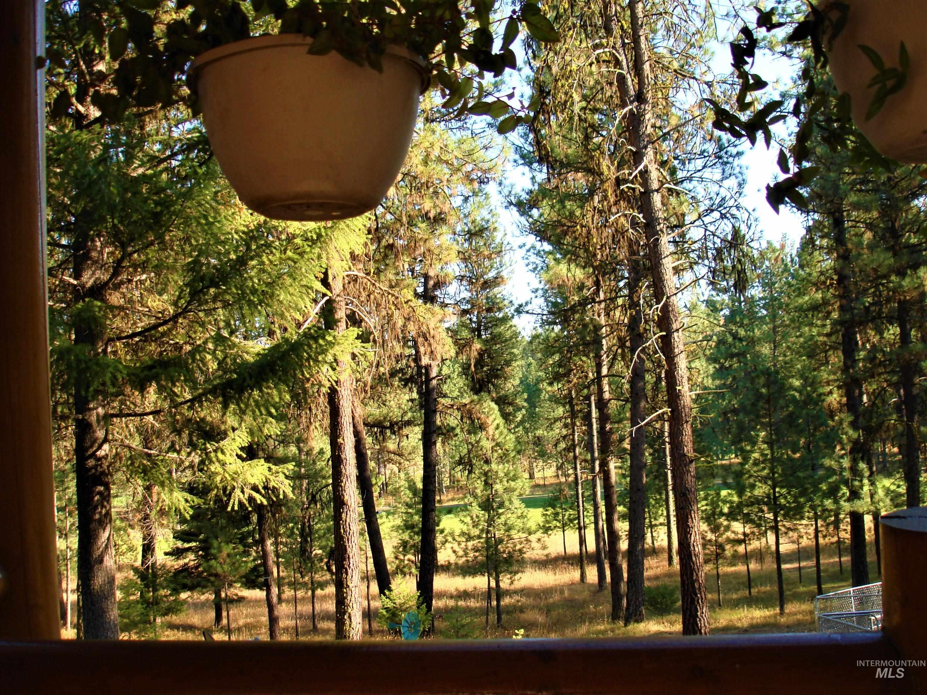 3879 Hagen Court, New Meadows, Idaho 83654, 3 Bedrooms, 3.5 Bathrooms, Residential For Sale, Price $1,299,999, 98925293