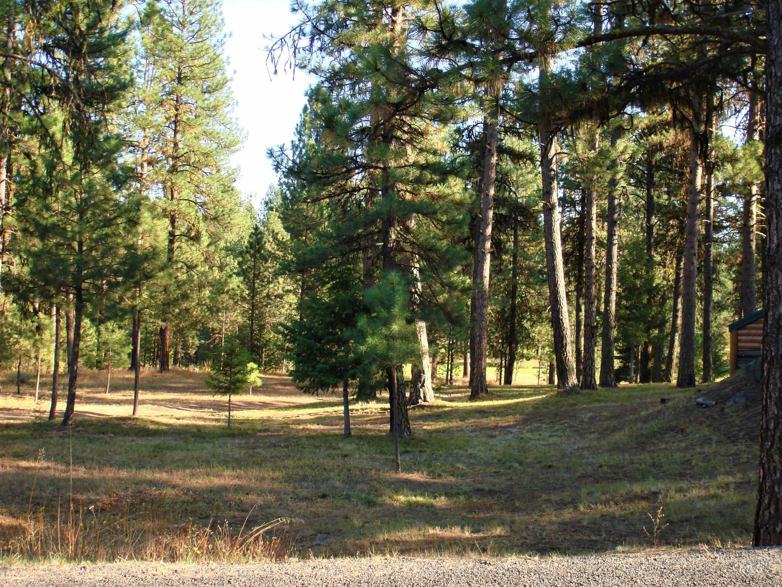 3879 Hagen Court, New Meadows, Idaho 83654, 3 Bedrooms, 3.5 Bathrooms, Residential For Sale, Price $1,299,999, 98925293