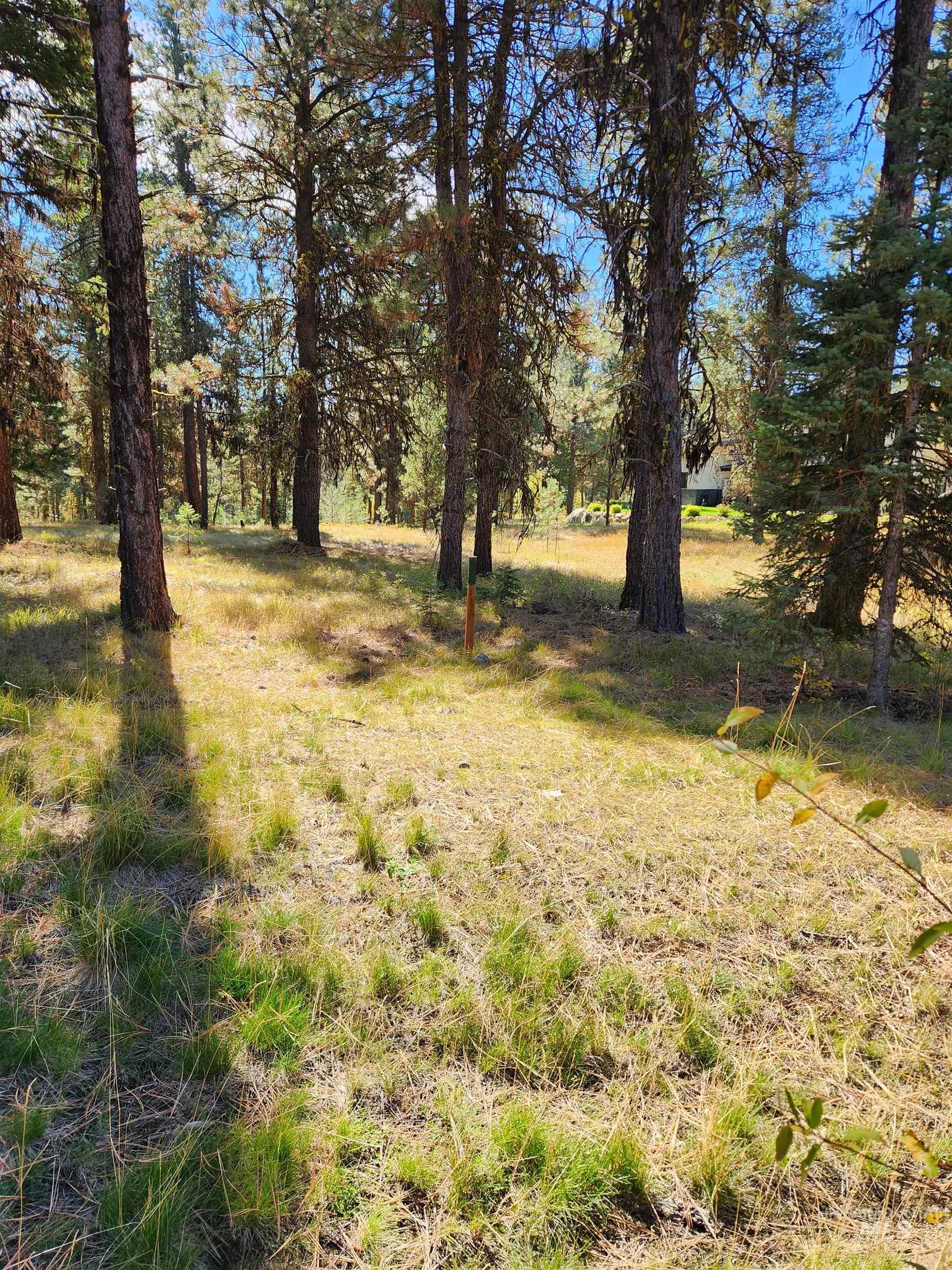 15 Vernon Ct, McCall, Idaho 83638-1000, Land For Sale, Price $199,900, 98925303