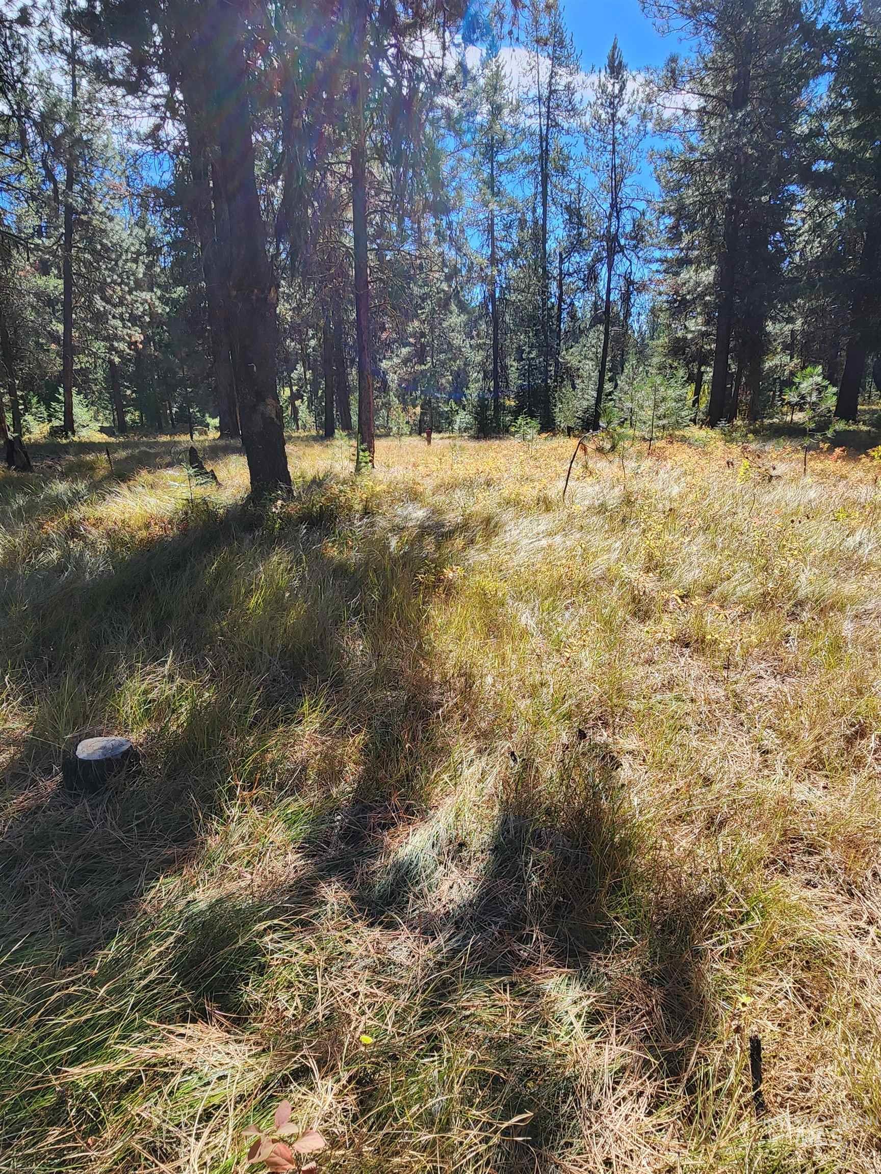 15 Vernon Ct, McCall, Idaho 83638-1000, Land For Sale, Price $199,900, 98925303
