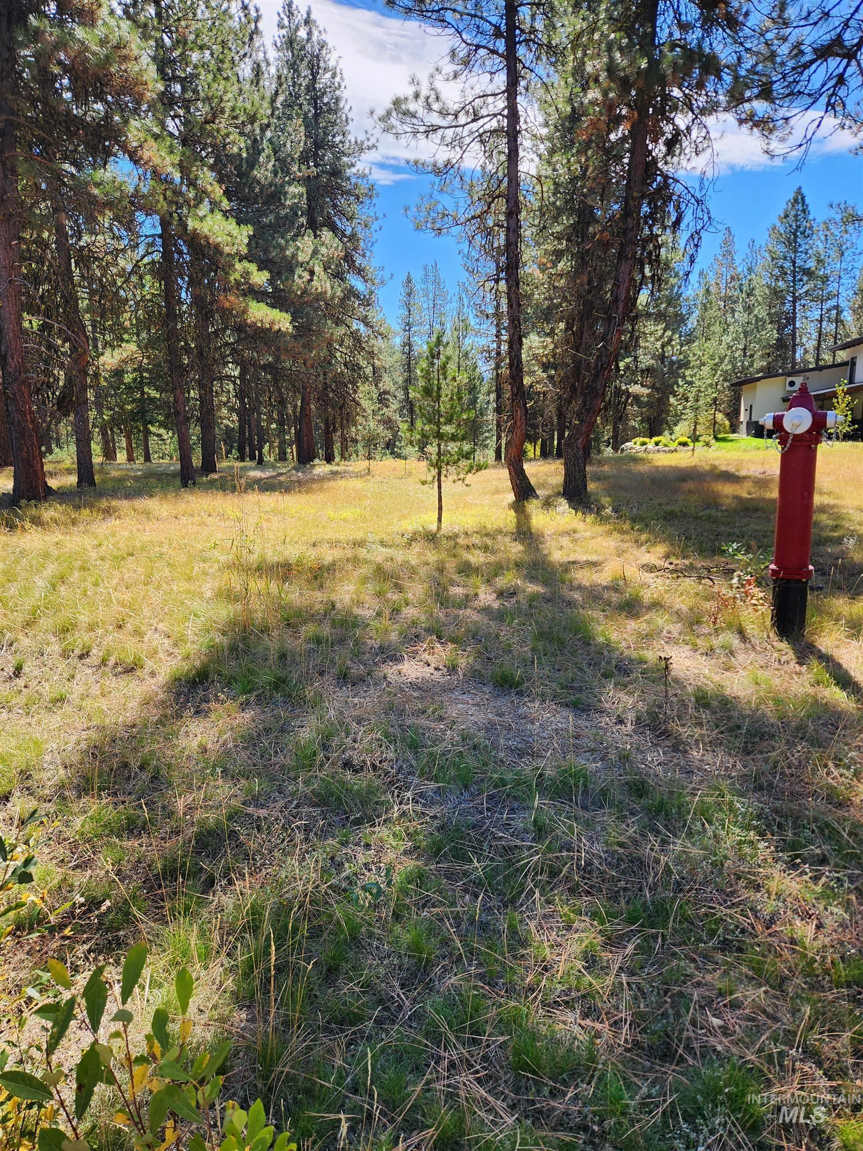 15 Vernon Ct, McCall, Idaho 83638-1000, Land For Sale, Price $199,900, 98925303