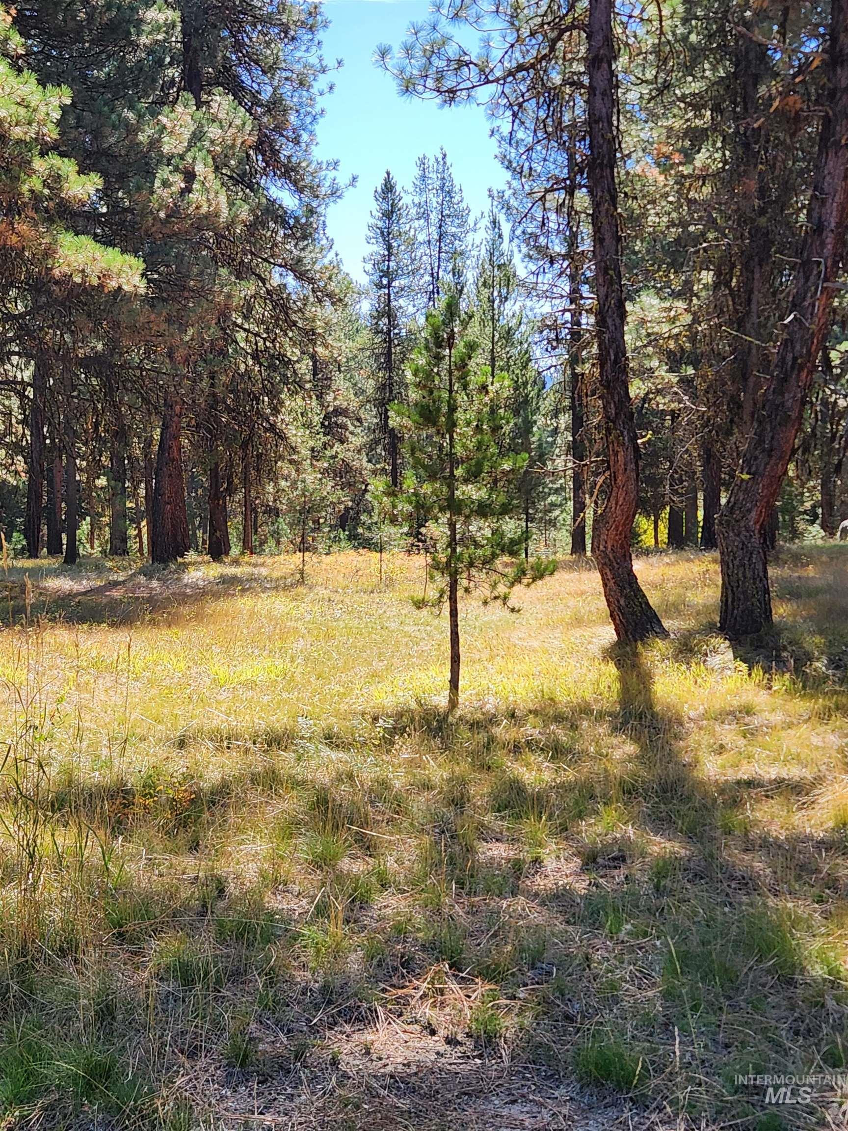 15 Vernon Ct, McCall, Idaho 83638-1000, Land For Sale, Price $199,900, 98925303