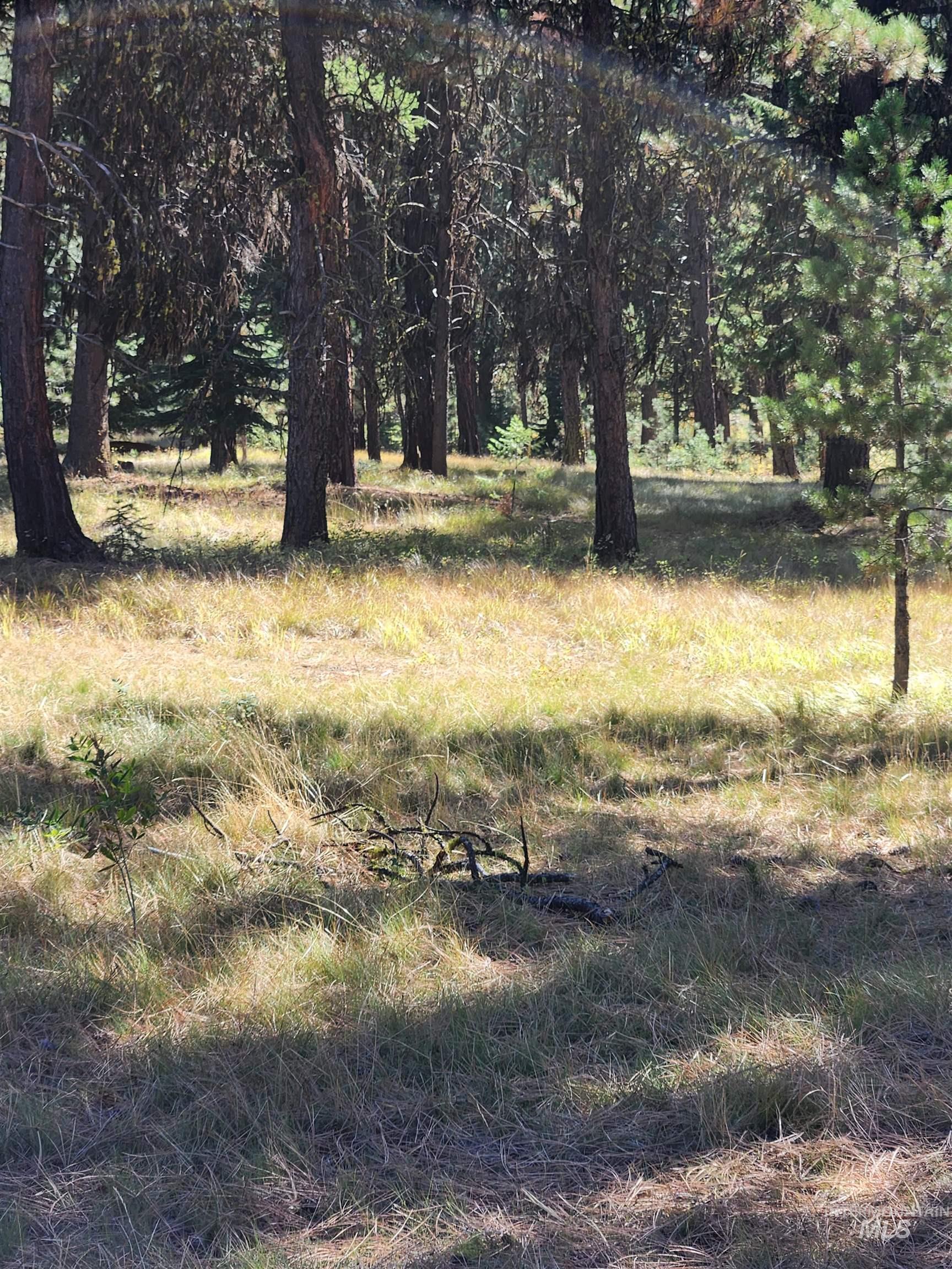 15 Vernon Ct, McCall, Idaho 83638-1000, Land For Sale, Price $199,900, 98925303
