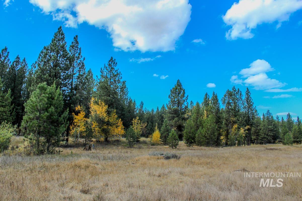 110 Warner Drive, Cascade, Idaho 83611, Land For Sale, Price $349,000, 98925331