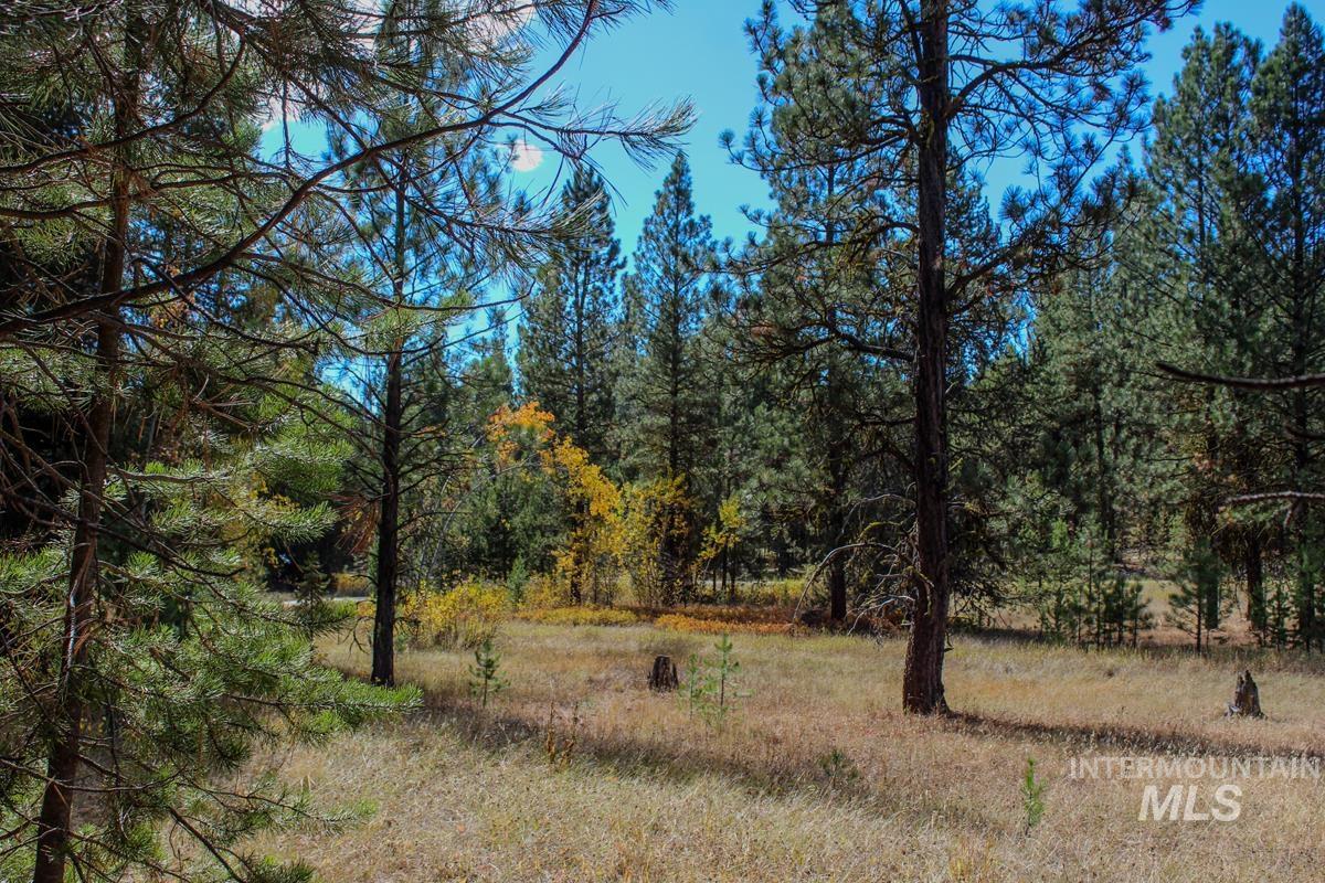 110 Warner Drive, Cascade, Idaho 83611, Land For Sale, Price $349,000, 98925331