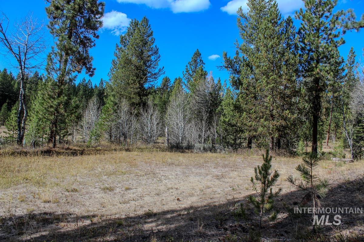 110 Warner Drive, Cascade, Idaho 83611, Land For Sale, Price $349,000,MLS 98925331