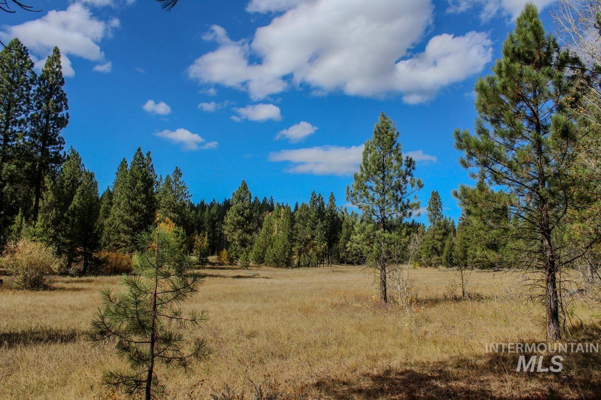 110 Warner Drive, Cascade, Idaho 83611, Land For Sale, Price $349,000, 98925331