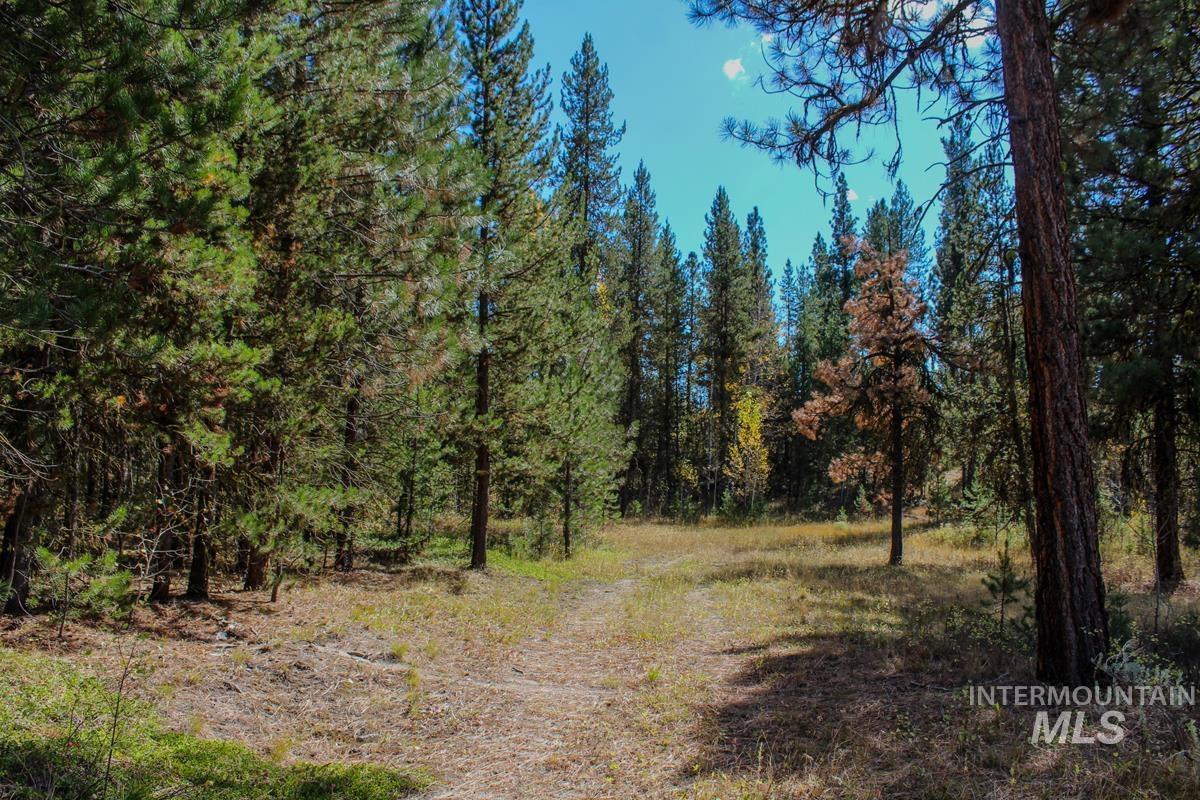 110 Warner Drive, Cascade, Idaho 83611, Land For Sale, Price $349,000, 98925331