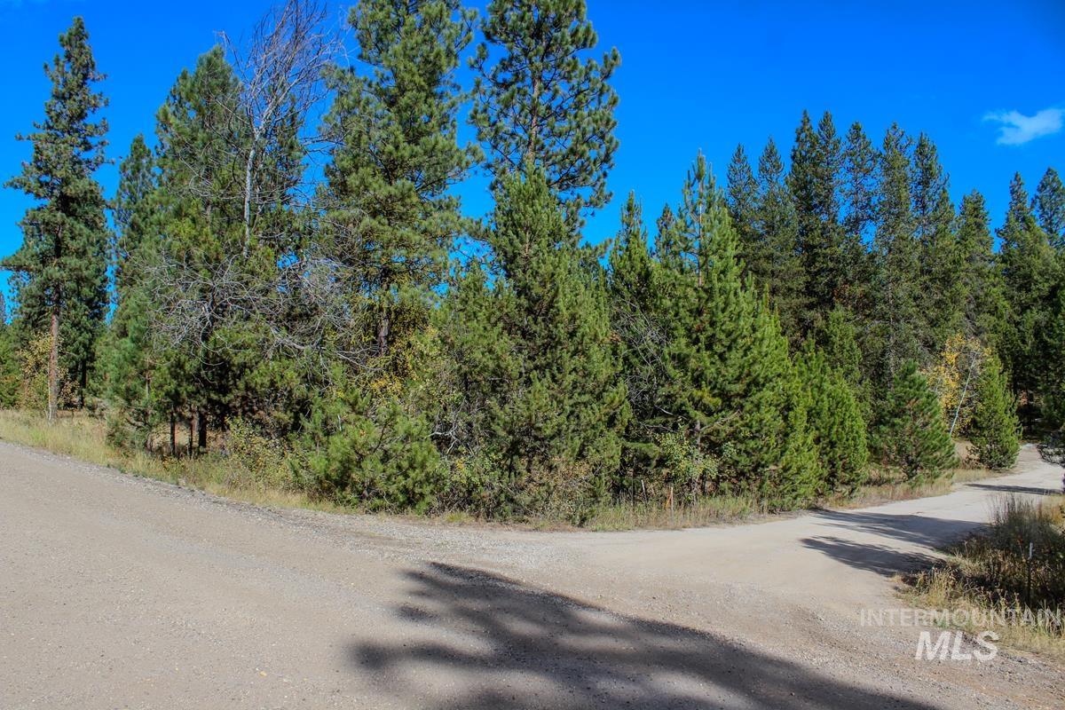 110 Warner Drive, Cascade, Idaho 83611, Land For Sale, Price $349,000, 98925331