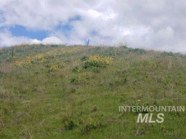 000 Bethel Road, Horseshoe Bend, Idaho 83629, Land For Sale, Price $159,000, 98925332