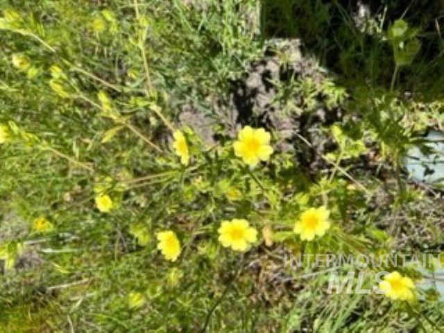 000 Bethel Road, Horseshoe Bend, Idaho 83629, Land For Sale, Price $159,000, 98925332