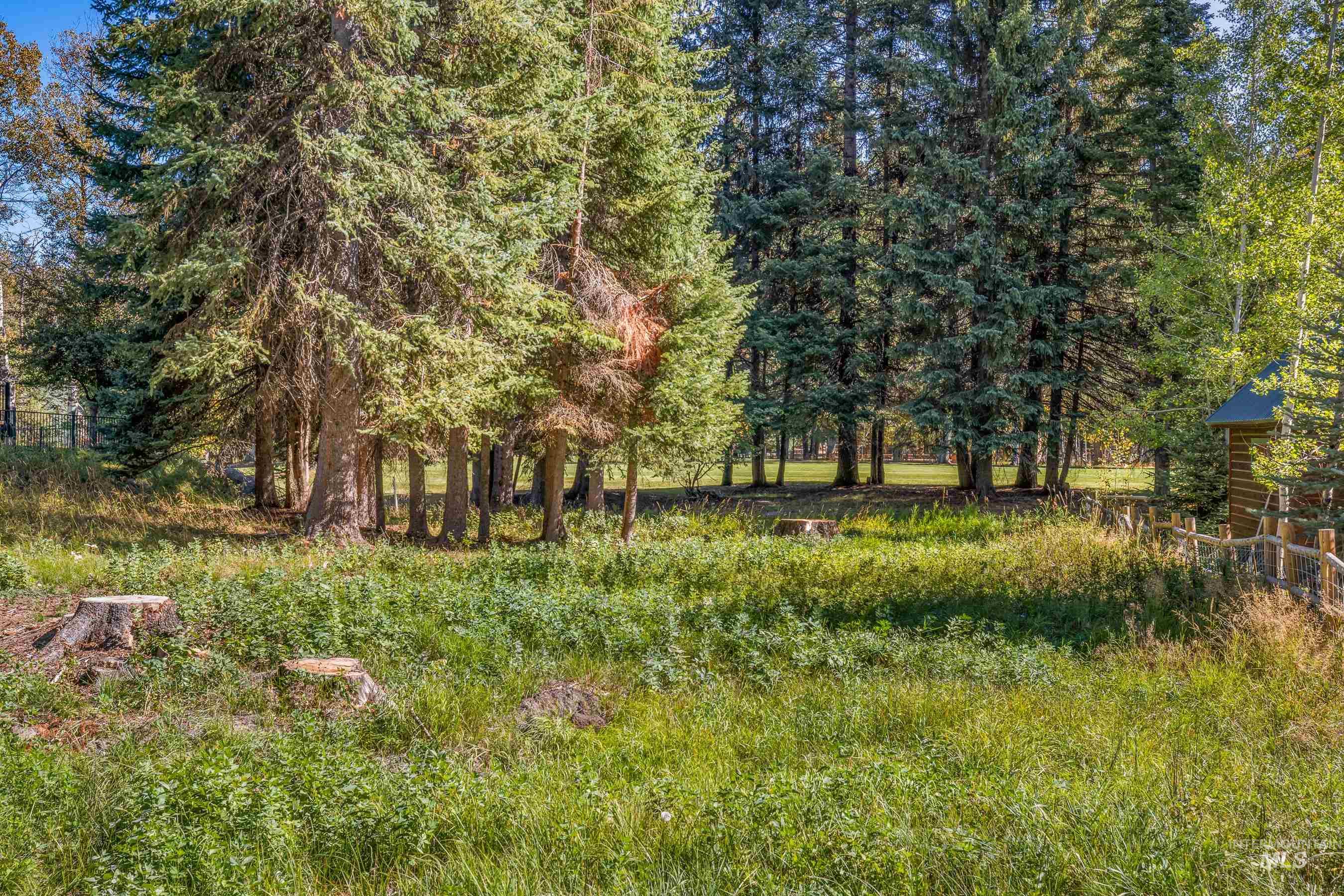 1365 Divot Lane, McCall, Idaho 83638, Land For Sale, Price $288,500, 98925337