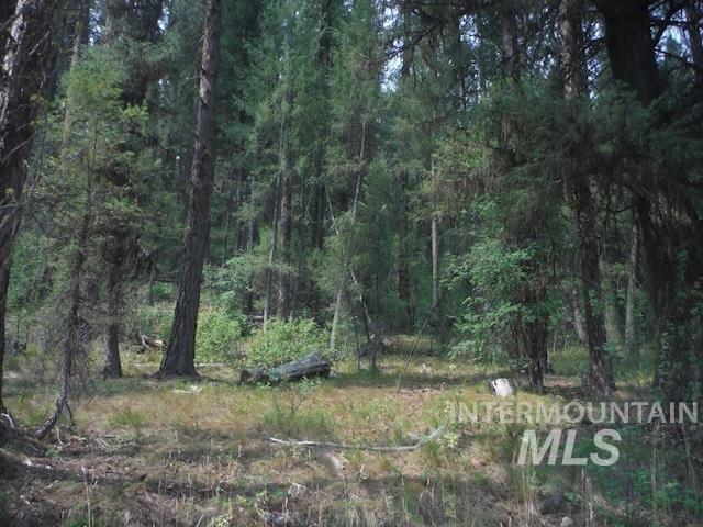 TBD BEAVER CREEK RD LOT 79, Boise, Idaho 83716, Land For Sale, Price $135,000, 98925374