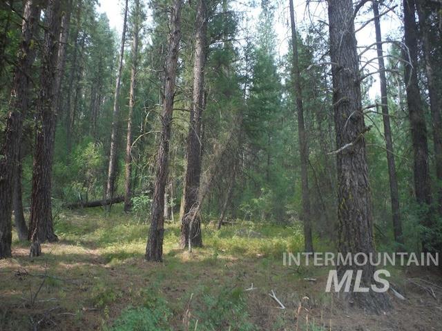 TBD BEAVER CREEK RD LOT 79, Boise, Idaho 83716, Land For Sale, Price $135,000, 98925374