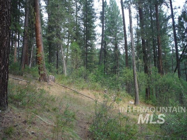 TBD BEAVER CREEK RD LOT 79, Boise, Idaho 83716, Land For Sale, Price $135,000, 98925374