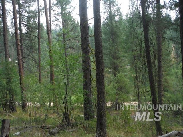 TBD BEAVER CREEK RD LOT 79, Boise, Idaho 83716, Land For Sale, Price $135,000, 98925374