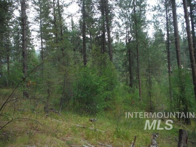 TBD BEAVER CREEK RD LOT 79, Boise, Idaho 83716, Land For Sale, Price $135,000, 98925374
