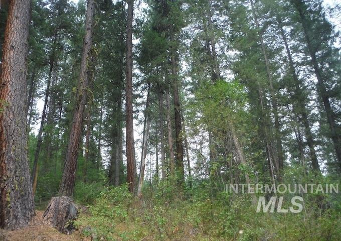 TBD BEAVER CREEK RD LOT 79, Boise, Idaho 83716, Land For Sale, Price $135,000, 98925374