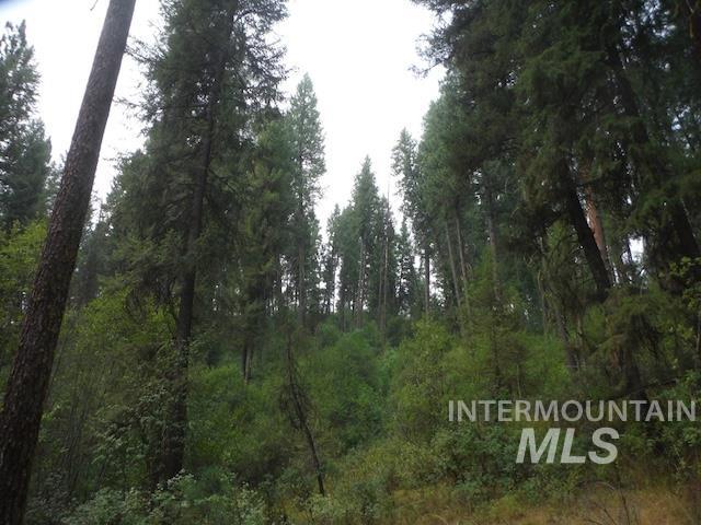 TBD BEAVER CREEK RD LOT 79, Boise, Idaho 83716, Land For Sale, Price $135,000, 98925374