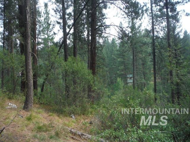 TBD BEAVER CREEK RD LOT 79, Boise, Idaho 83716, Land For Sale, Price $135,000,MLS 98925374