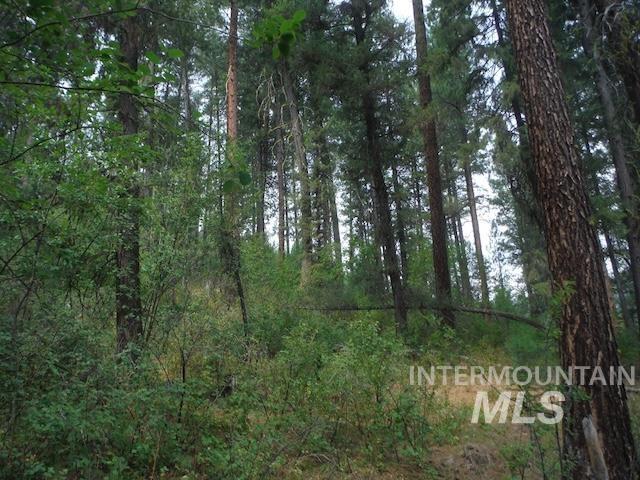 TBD BEAVER CREEK RD LOT 79, Boise, Idaho 83716, Land For Sale, Price $135,000, 98925374