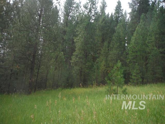 TBD BEAVER CREEK RD LOT 79, Boise, Idaho 83716, Land For Sale, Price $135,000, 98925374