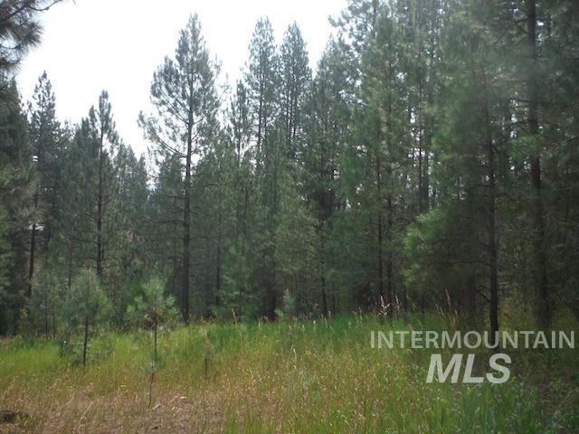 TBD BEAVER CREEK RD LOT 79, Boise, Idaho 83716, Land For Sale, Price $135,000, 98925374