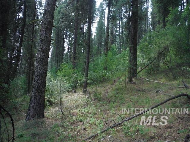 TBD BEAVER CREEK RD LOT 79, Boise, Idaho 83716, Land For Sale, Price $135,000, 98925374