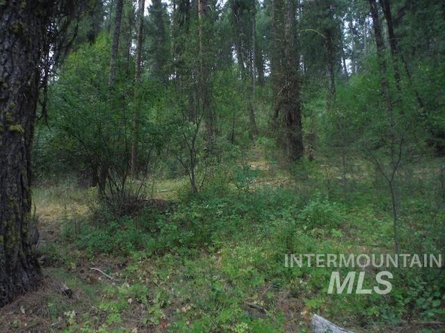 TBD BEAVER CREEK RD LOT 79, Boise, Idaho 83716, Land For Sale, Price $135,000,MLS 98925374