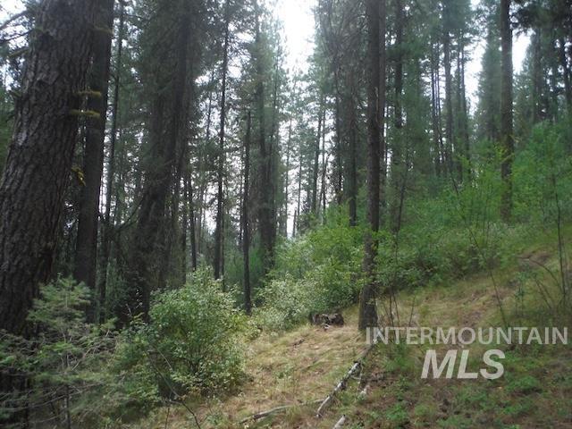 TBD BEAVER CREEK RD LOT 79, Boise, Idaho 83716, Land For Sale, Price $135,000, 98925374