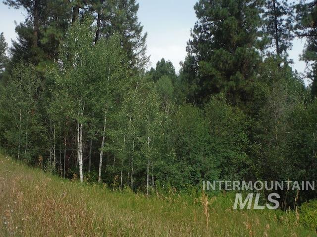 TBD BEAVER CREEK RD LOT 90-93-94, Boise, Idaho 83716-0000, Land For Sale, Price $125,000, 98925375