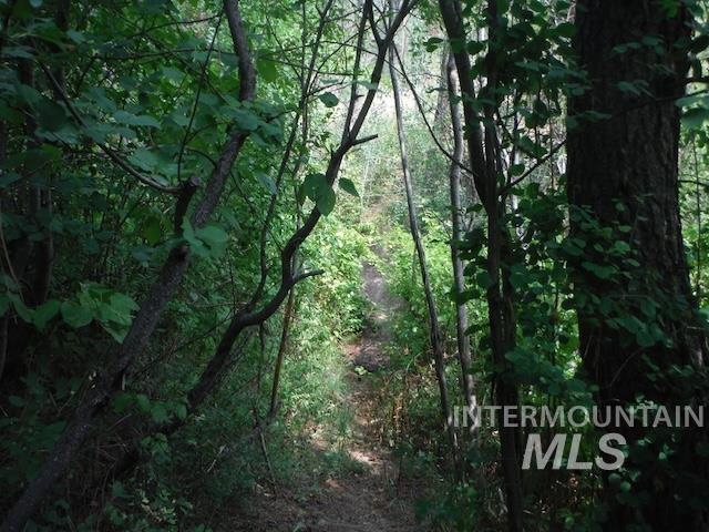 TBD BEAVER CREEK RD LOT 90-93-94, Boise, Idaho 83716-0000, Land For Sale, Price $125,000, 98925375