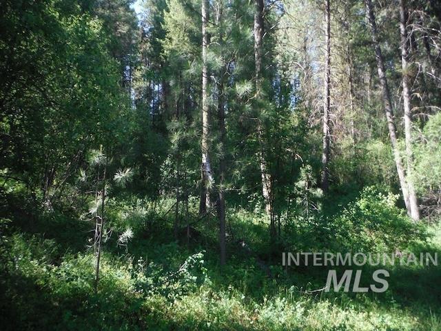 TBD RED FIR PL - 10 ACRES, Boise, Idaho 83716-0000, Land For Sale, Price $250,000, 98925377
