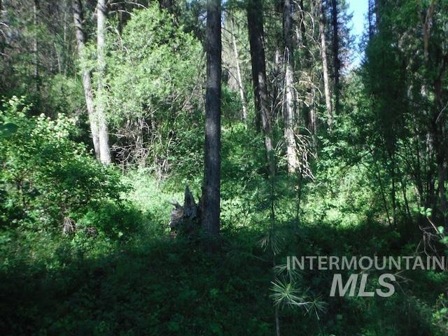 TBD RED FIR PL - 10 ACRES, Boise, Idaho 83716-0000, Land For Sale, Price $250,000, 98925377