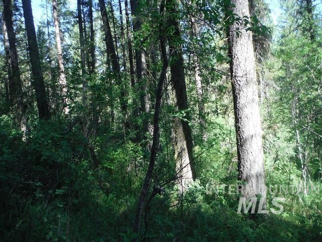 TBD RED FIR PL - 10 ACRES, Boise, Idaho 83716-0000, Land For Sale, Price $250,000, 98925377