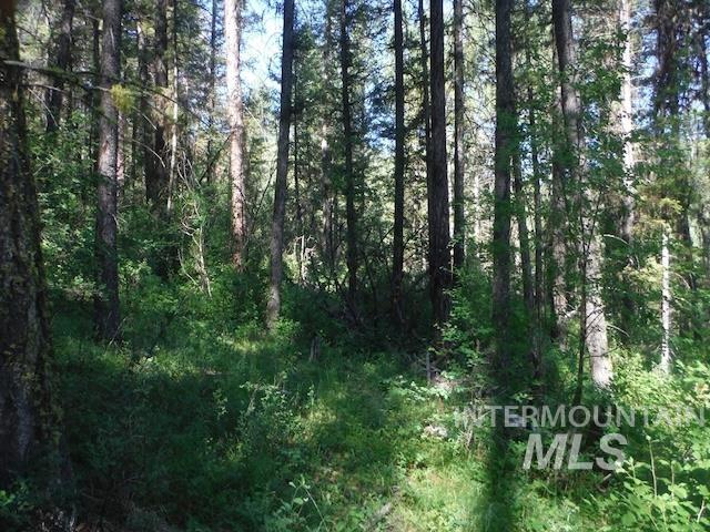 TBD RED FIR PL - 10 ACRES, Boise, Idaho 83716-0000, Land For Sale, Price $250,000, 98925377