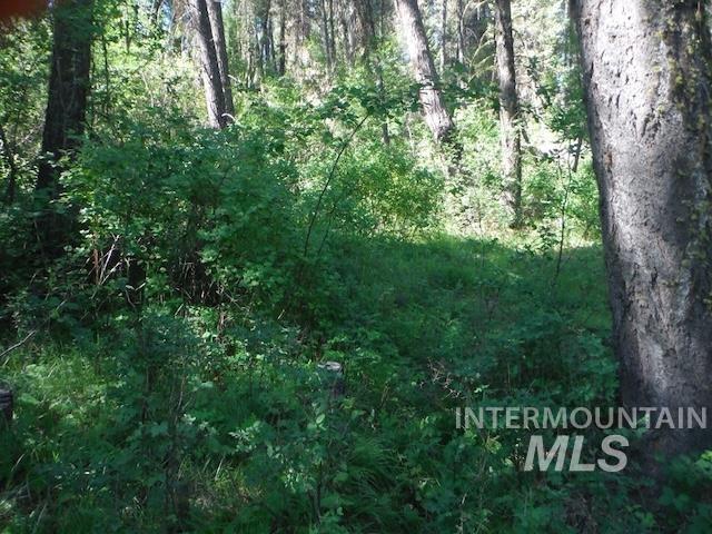TBD RED FIR PL - 10 ACRES, Boise, Idaho 83716-0000, Land For Sale, Price $250,000, 98925377