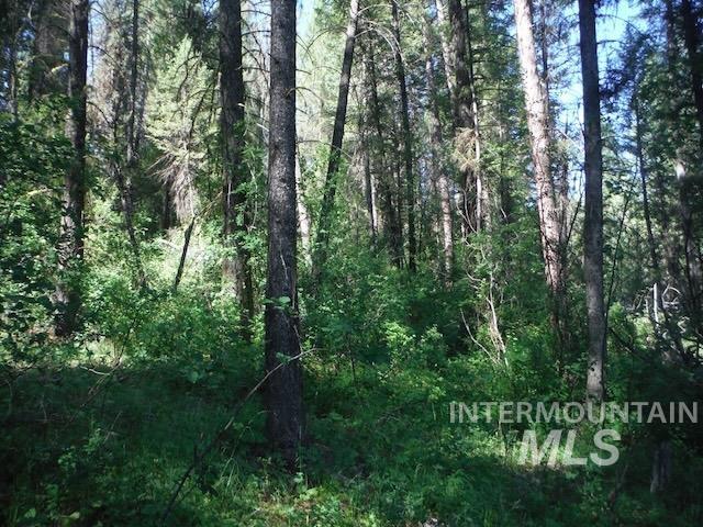 TBD RED FIR PL - 10 ACRES, Boise, Idaho 83716-0000, Land For Sale, Price $250,000, 98925377