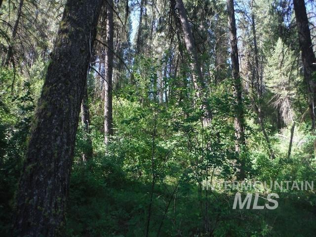 TBD RED FIR PL - 10 ACRES, Boise, Idaho 83716-0000, Land For Sale, Price $250,000,MLS 98925377