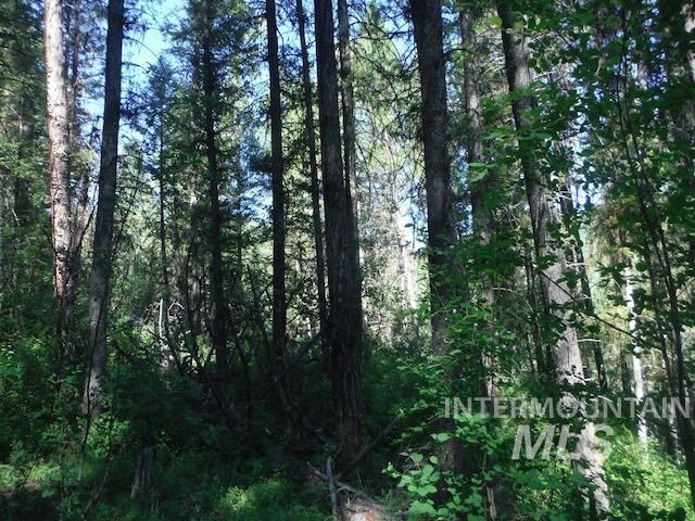 TBD RED FIR PL - 10 ACRES, Boise, Idaho 83716-0000, Land For Sale, Price $250,000, 98925377