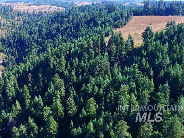 TBD Maggie Creek-Harris Ridge, Kooskia, Idaho 83539, Land For Sale, Price $399,500,MLS 98925385