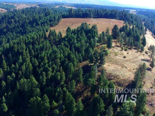 TBD Maggie Creek-Harris Ridge, Kooskia, Idaho 83539, Land For Sale, Price $399,500,MLS 98925385