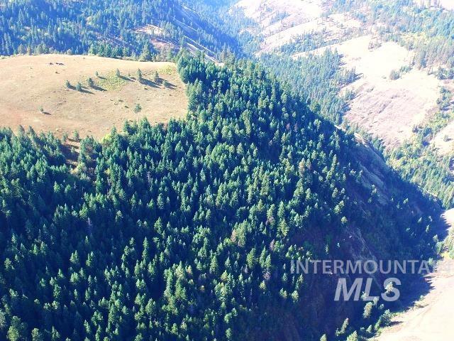TBD Maggie Creek-Harris Ridge, Kooskia, Idaho 83539, Land For Sale, Price $399,500, 98925385